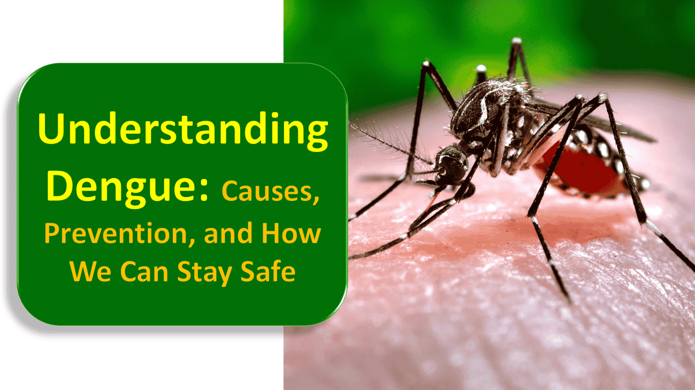 🌍 Understanding Dengue: Causes, Prevention, and How We Can Stay Safe